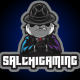 Foto del perfil de SalchiGaming